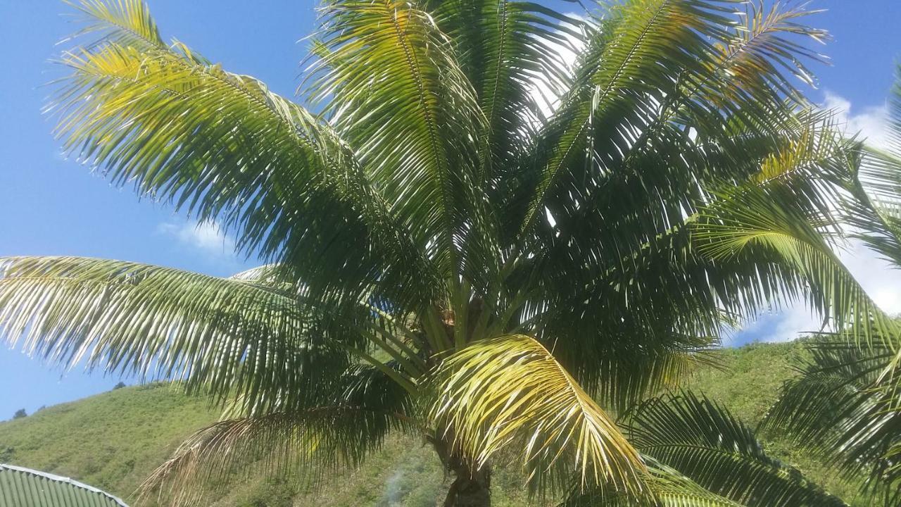 Location " La Pirogue " Maison D'Hotes A Moorea Haapiti Exterior foto