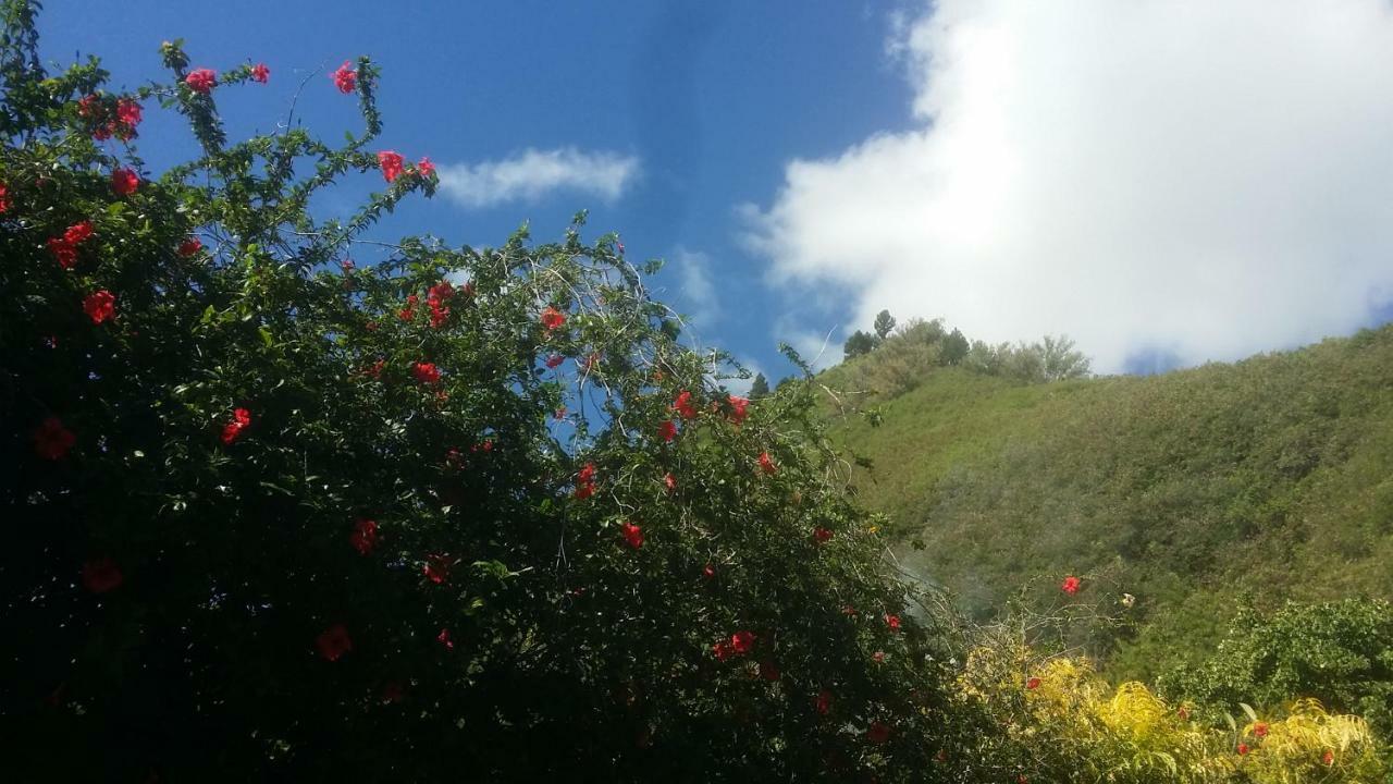 Location " La Pirogue " Maison D'Hotes A Moorea Haapiti Exterior foto